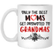 Only The Best Mom Get Promoted To Grandmas - Spceial Gift For Mother - Mug