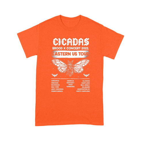 Divesart - Cicadas Brood x Concert 2021 Eastern US Tour Test Standard T-shirt
