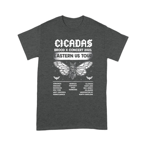 Divesart - Cicadas Brood x Concert 2021 Eastern US Tour Test Standard T-shirt