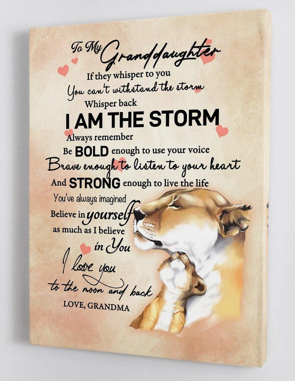 To My Granddaughter - From Grandma - Framed Canvas Gift GMD031 - DivesArt LLC