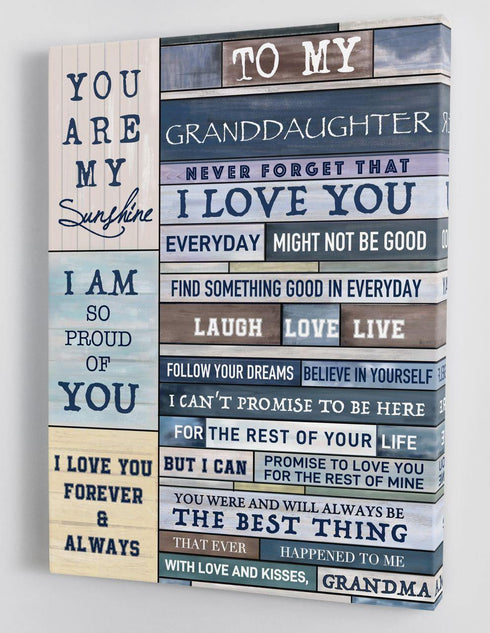 To My Granddaughter - From Grandma - Framed Canvas Gift GMD050 - DivesArt LLC