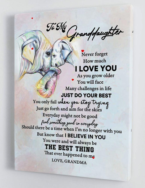 To My Granddaughter - From Grandma - Framed Canvas Gift GMD052 - DivesArt LLC